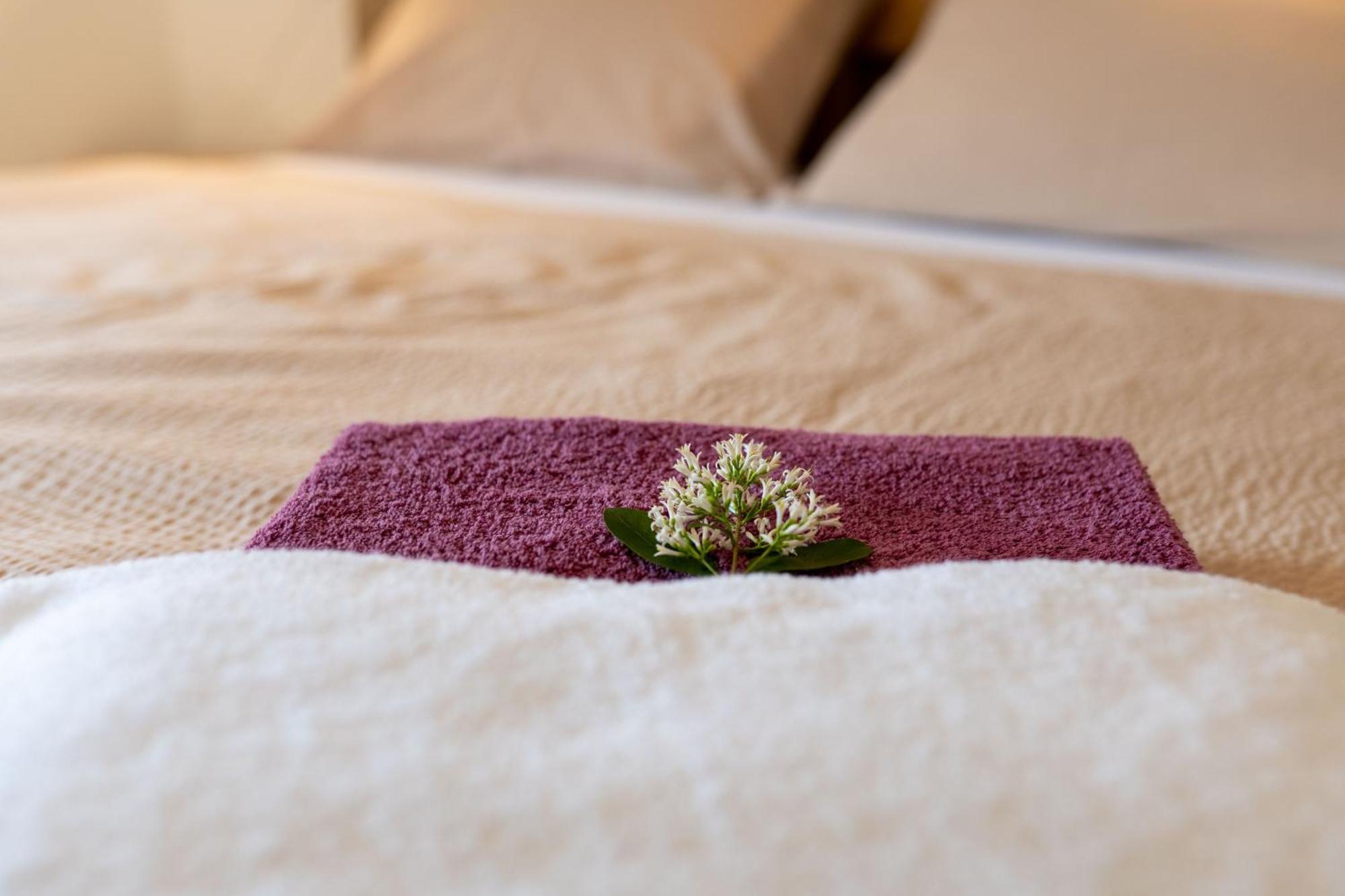 Papi Apartman Valtice Buitenkant foto